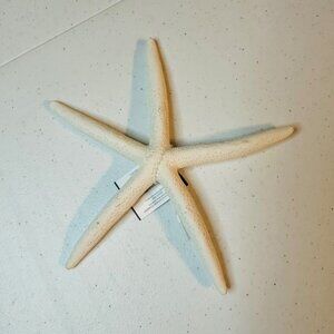 White Starfish Shell Beach Decoration Coastal Beach Home Decor & Crafts